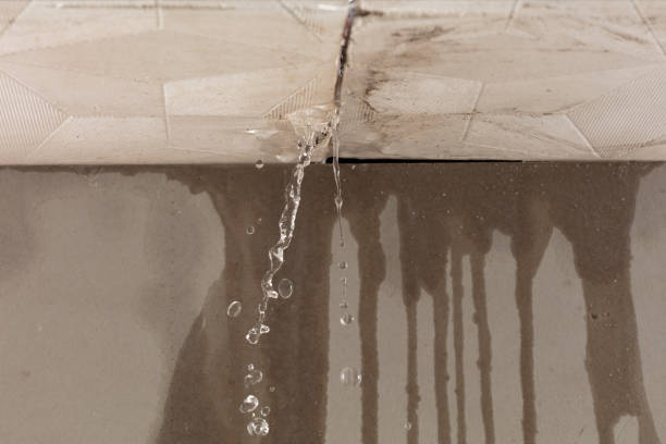 Professional Water Damage Repair technician working in North Bergen, NJ